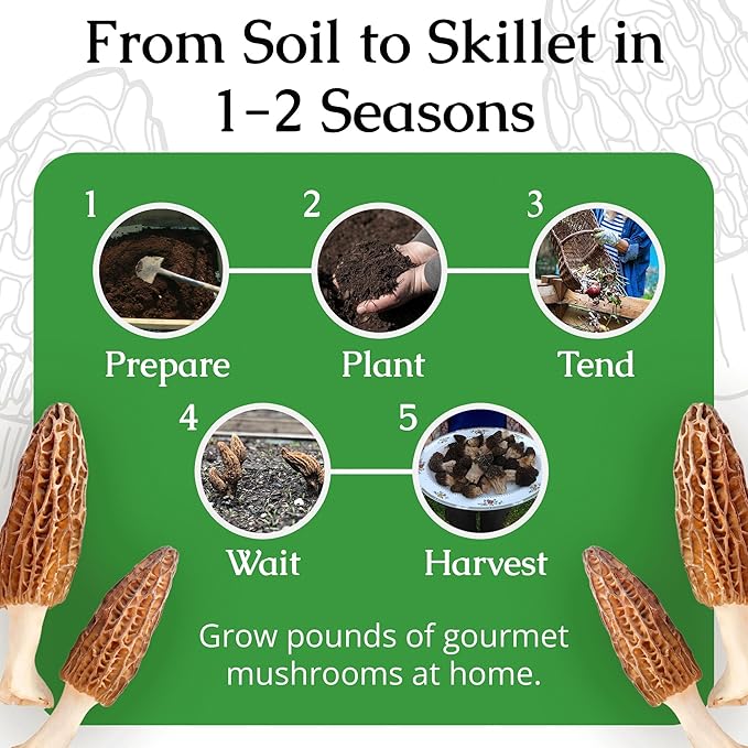 MOREL HABITAT KIT® Morel Mushroom Growing Kit (Morchella) Compatible with Any Soil Type Across the U.S. Outdoor Garden &amp Backyard Cultivation Set with Full Instructions - Made in the USA