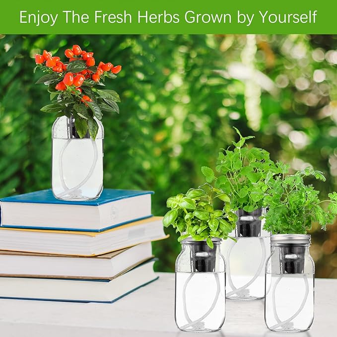 6 Set Hydroponic Mason Garden Jar Kit Self Watering Herb Hydroponic Planter Starter Kit with Net Pot Garden Flower Plant Growing Gift for Indoor Herbs Windowsill Gardening