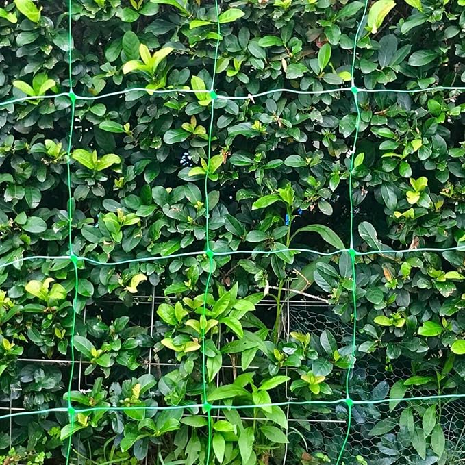 Plant Trellis Netting Garden Trellis Netting for Climbing Plants Mesh Plant Grow Supports for Vegetables Clematis CucumberTomatoes and Vine Plants Green C