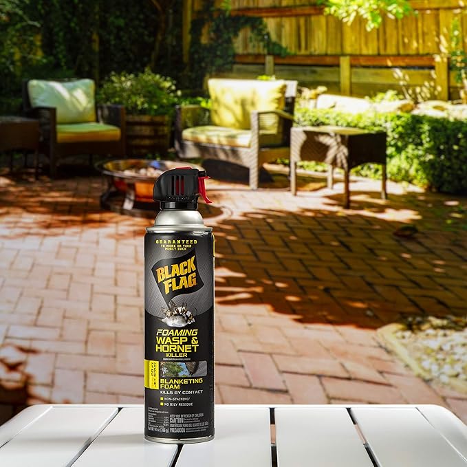 Black Flag Foaming Wasp and Hornet Killer 14 Ounces Aerosol Insecticide Spray 12 Pack
