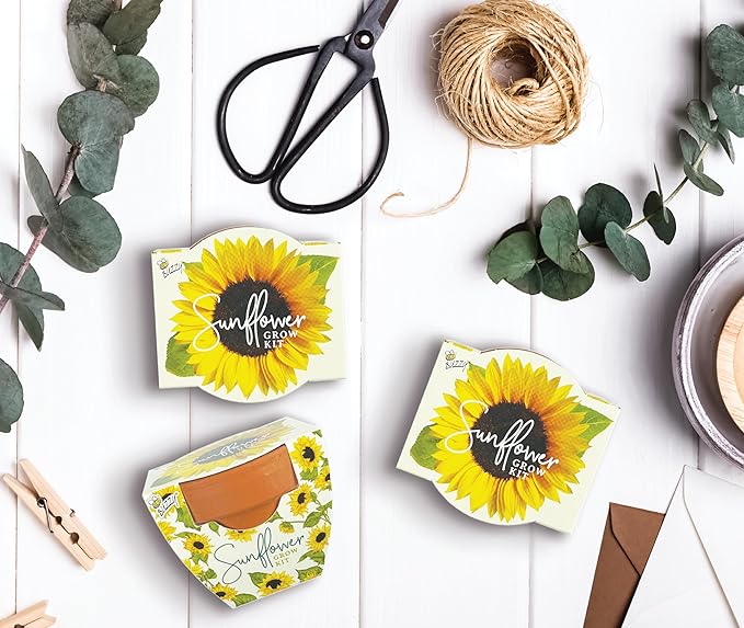 BUZZY Seeds All-in-One Sunflower Mini Terracotta Pot Grow Kits 12-Pack Indoor Mini Garden Seed Starter Grow Your Own Vibrant Flowers DIY Plant Project Gardening Gift Party Favors