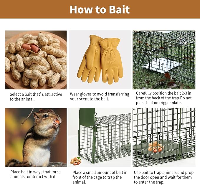 40” 2 Door Live Animal Trap Easy Set and Release Animal Trap Live Animal Trap Cage for catching Stray Cats Raccoons Squirrels Rabbits Moles Groundhogs Armadillos up to 17.6 lbs