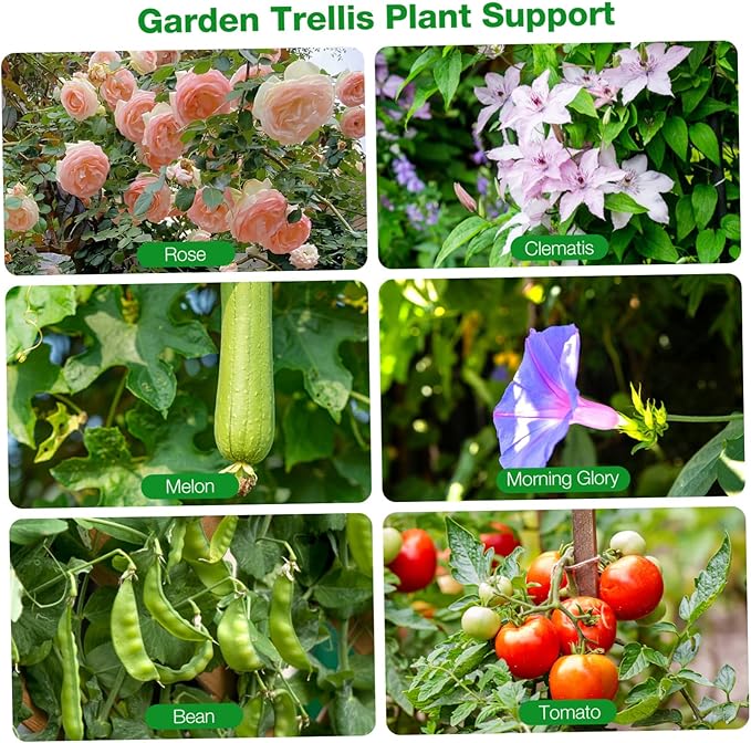 Outdoor Plant Support Stand Folding Garden Trellis for Climbing Plants Long-Lasting and Sturdy Construction