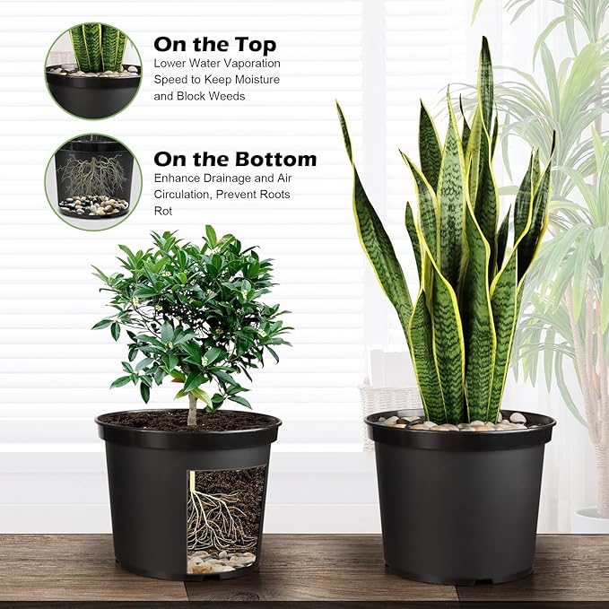 5 Gallon Pots with 10lbs Rocks 12 Inch Plastic Nursery Pots with Drainage Holes Round Sturdy Garden Pots with Stones Deep Nursery Pots for Plants Gardening Gifts for Women (5-Pack Black)
