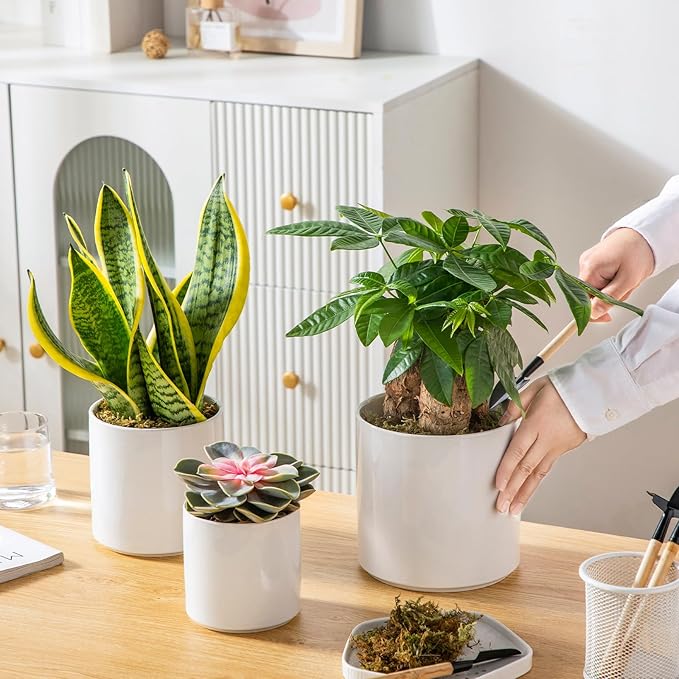 vancasso Ceramic Plant Pots 4.25+5.25+6.25 Inch Planter Pot with Drainage Hole Flower Pots for Indoor Outdoor Plants Set of 3 White