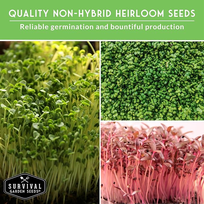 Microgreens Seeds Variety Pack – 15 Heirloom Varieties for Indoor Sprouting &amp Countertop Growing – Broccoli Radish Kale Arugula &amp More – High Germination Non-GMO – Survival Garden Seeds