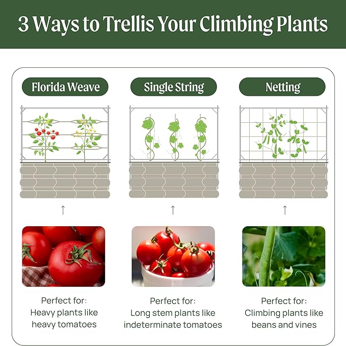 Vego Garden 6.5ft Long Tomato Metal Frame Trellis Garden Trellis for Climbing Plants Like Cucumber Beans Tomatoes &amp Vines (Garden Beds Not Included)