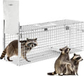 32 Humane Animal Cage Trap Live Animal Cage Trap Folding Animal Trap for Stray Cats Raccoons Rabbits Skunks Moles Groundhogs and Armadillos up to 17 lbs