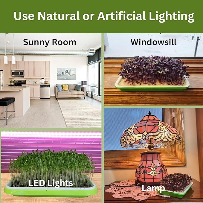 Complete Home Microgreens Kit - Indoor Garden System - Includes 2 Sets of Reusable Trays Spray Mister 2 pkgs of Hydroponic Growing Medium Organic Radish and Broccoli Seeds