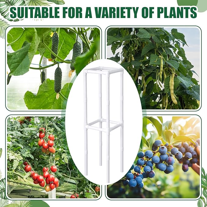 Dragon Fruit Trellis Square 12 x 55 Inch Schedule 40 PVC Plant Support for Climbing Vines Tomatoes Cucumbers Beans Vertical Garden Trellis Requires Assembly
