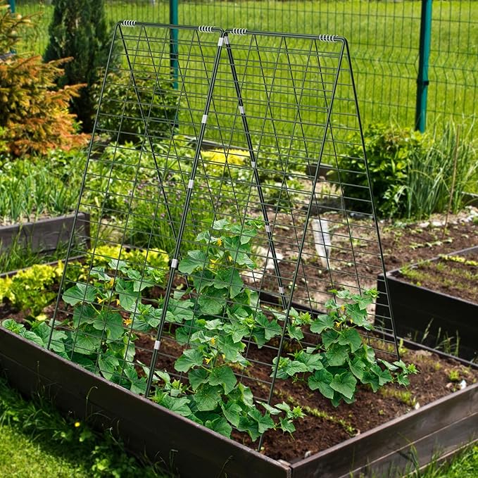 AGTEK 34 x 48 Foldable Cucumber Trellis with Garden Stakes and Zip Ties Plant Support A Frame Metal Trellis for Climbing Plants Cucumber Vegetable Flowers