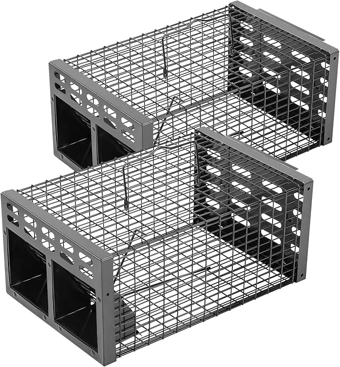 Rat Trap Humane Live Rat Trap &amp Automatic Reset Mouse Traps with Dual One-Way Door Design –Catch and Release for Mice Chipmunks Hamsters and Other Rodents Indoors &amp Outdoors(2PCS Black)