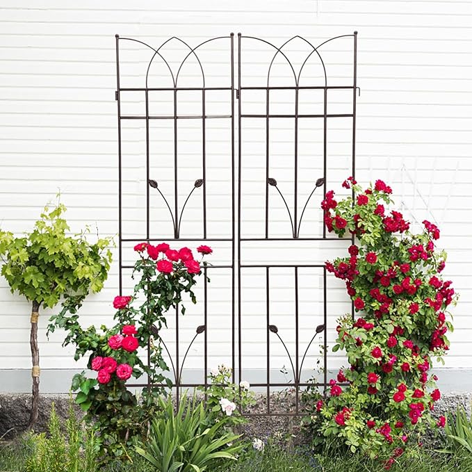 2 Pack Rust-Resistant Metal Garden Trellis for Climbing Plants - Brown