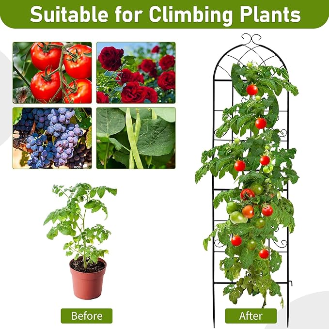 Premium Garden Trellis Sturdy for Climbing Plants for Potted Vines Vegetables 2 Pack