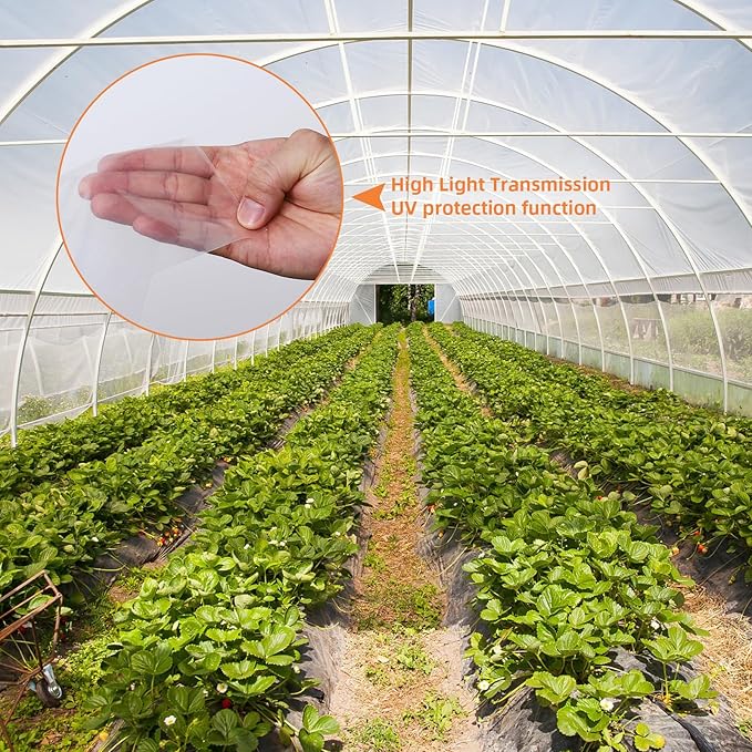 16x25 Ft Greenhouse Plastic Sheeting 6 Mil Thickness Clear Greenhouse Polyethylene Film UV Resistant Replacement Cover Hoop House Plastic Cover for Farming Gardening