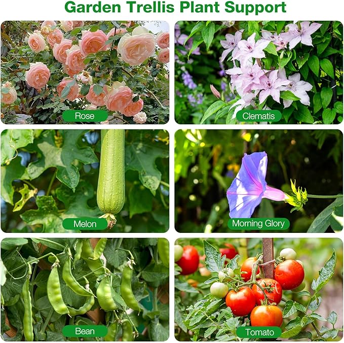 GLEAVI Folding Garden Trellis Plant Climbing Frame Vine Climbing Support Rack for Outdoor Vegetable Garden and Patio Plant Bracket