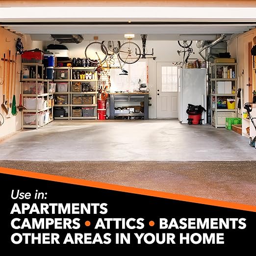 Raid Concentrated Deep Reach Fogger Kills Ants Roaches and Spiders 1.5 Ounce Cans 3 Count (Pack of 2)