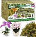 Halatool 4.4LB Green Forest Moss Natural Sphagnum Moss for Plants Fluffy Orchid Moss for Orchids Repotting Dried Plant Moss for Potted Plants Indoor &amp Outdoor