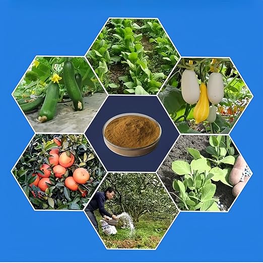 Chitosan OligosaccharideAgricultural Grade Water-SolubleFertilizer for Plants Fruits and Vegetables (100g/3.5oz)