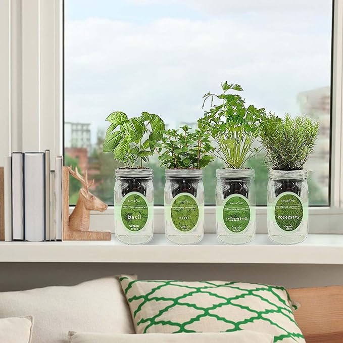 Hydroponic Herb Growing Kit Set Self-Watering Mason Jar Herb Garden Starter Kit Indoor Grow 4 Kinds of Herbs from Seeds (Basil Mint Cilantro &amp Rosemary)
