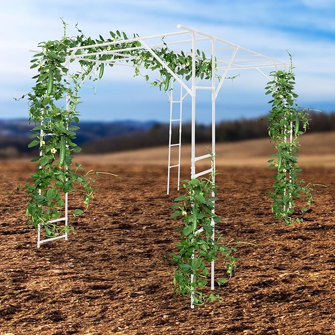 Plant Climbing Stand 9.8x6.6x7.5ft Large Outdoor Plant Trellis for Climbing Plants Heavy Duty Steel Garden Arch with Anti-Slip Feet for Tomatoes Cucumbers Flowers (White)