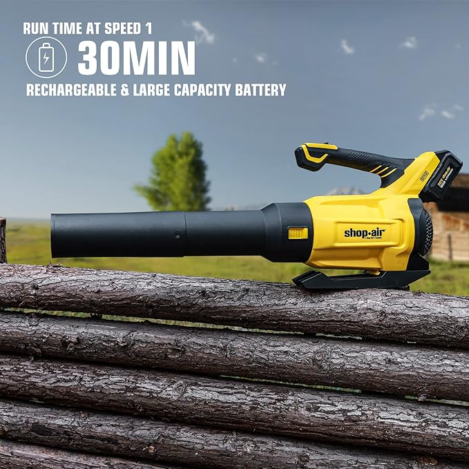 20V Cordless Leaf Blower 450CFM/110MPH Brushless Blower with Variable Speed Lightweight for Lawn Care Snow Blowing Yard Cleaning 4.0Ah Battery (Quick Charger Included)