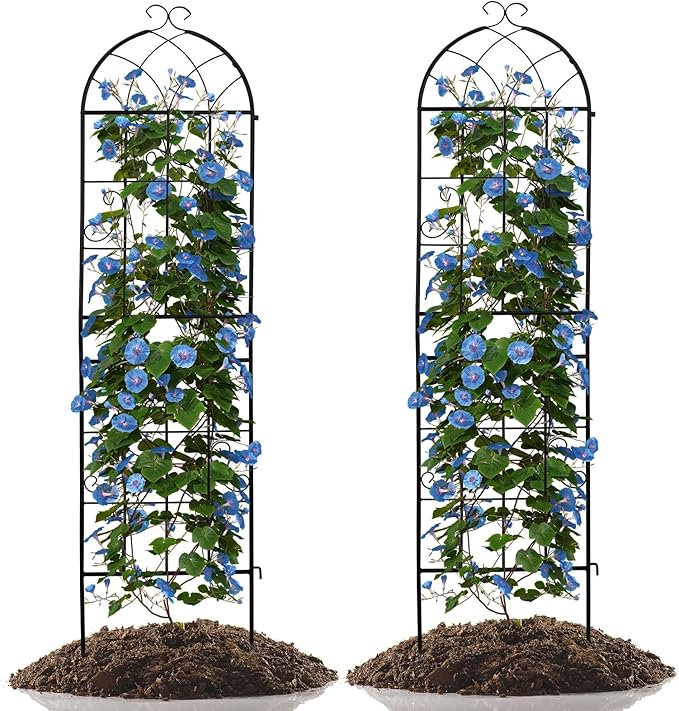 2 Pack Garden Trellis for Climbing Plants Outdoor Metal Rustproof Trellis