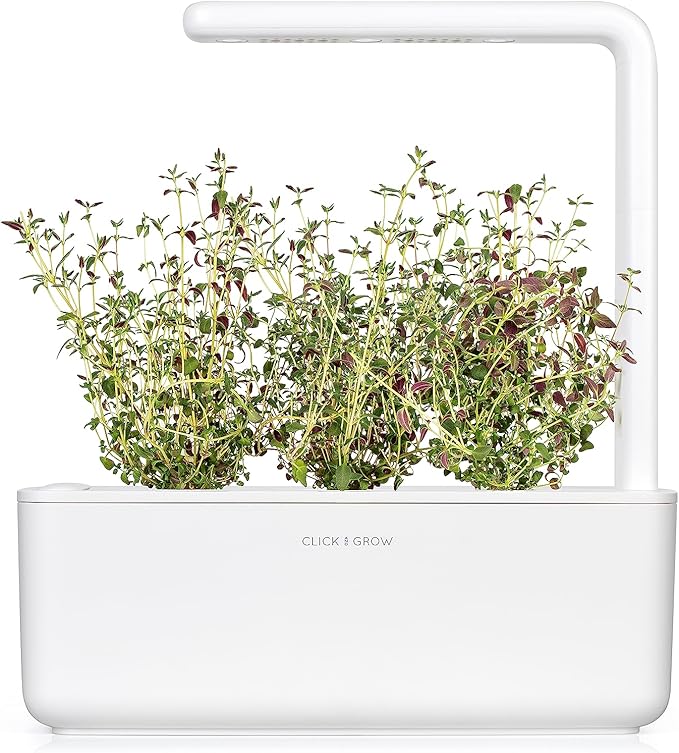 Click and Grow Smart Garden Thyme Plant Pods 9-Pack