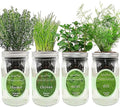 Hydroponic Herb Growing Kit Set Self-Watering Mason Jar Herb Garden Starter Kit Indoor New Christmas Gift for Mom (MintThymeChives&ampDill)
