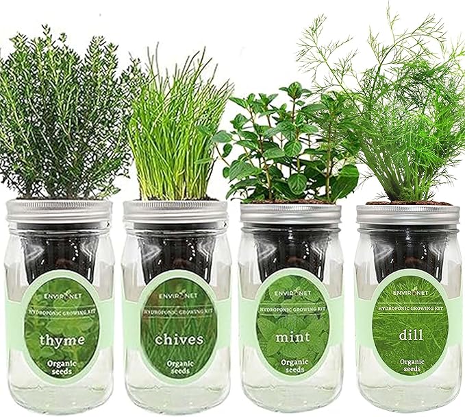 Hydroponic Herb Growing Kit Set Self-Watering Mason Jar Herb Garden Starter Kit Indoor New Christmas Gift for Mom (MintThymeChives&ampDill)