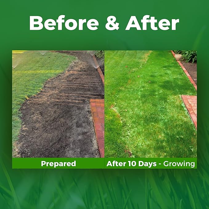 Growtrax 200 Sq Ft Biodegradable Tall Fescue Green Grass Seed Mix and Fertilizer Mat for Home Front and Back Lawn Repair and Replacement