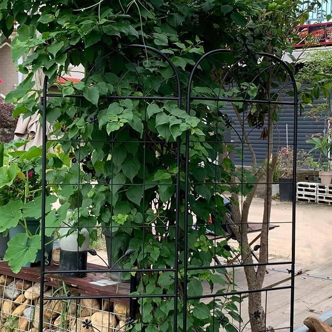 Metal Garden Trellis 2 Pack Metal Trellis for Climbing Plants