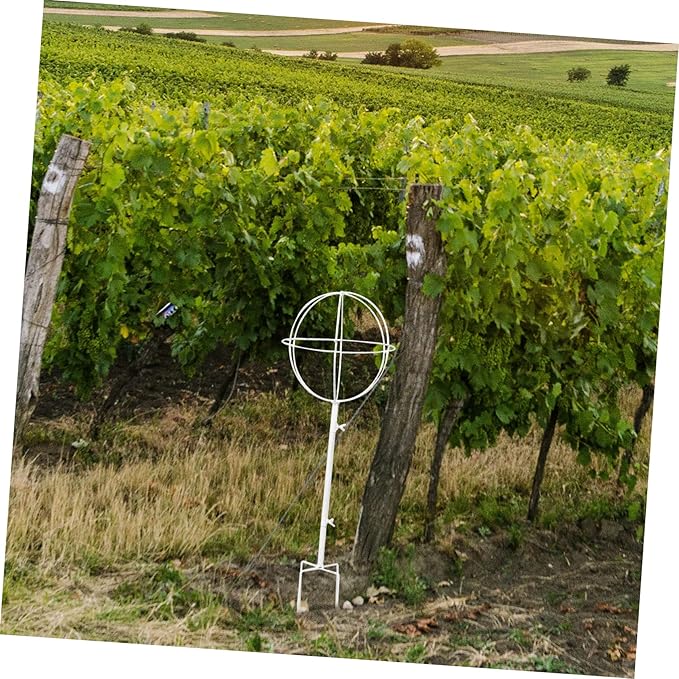 POPETPOP Iron Plant Support Bracket Planter Trellis for Vines and Roses Metal Trellis for Garden