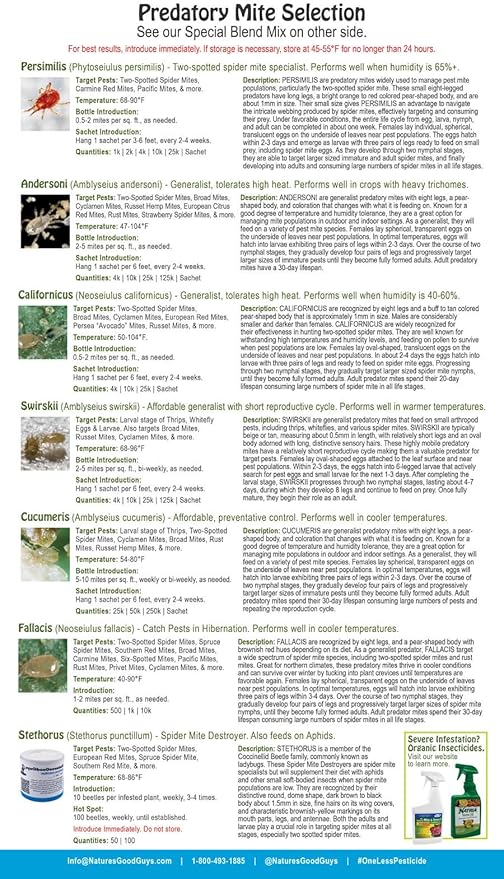 Neoseiulus californicus 25 sachets with 250 Mites