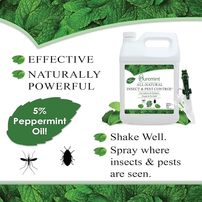 Puremint Insect &amp Pest Control Powerful &amp Natural 5% Peppermint Oil Spray for Ants Spiders Bed Bugs Dust Mites Roaches and More - Indoor and Outdoor Use 128 fl oz Gallon