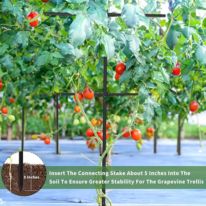 6 Pack Metal Detachable Raspberry &amp Grape Vine Trellis for Climbing Plants Heavy-Duty 7 Ft Tall Large Vineyard Trellis Support Sturdy Garden Stakes for Outdoor Raised Beds Vegetables Fruits Flow