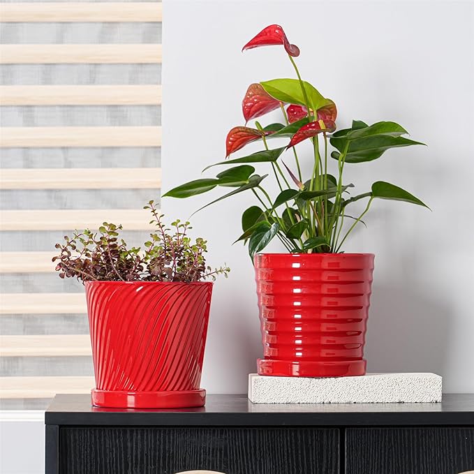 Ton Sin Plant Pots 6 Inch Flower Pots for PlantsCeramic Planter with Drainage HolesIndoor Planter Pots with SaucerOutdoor Garden Pots (Red 4 Pack)