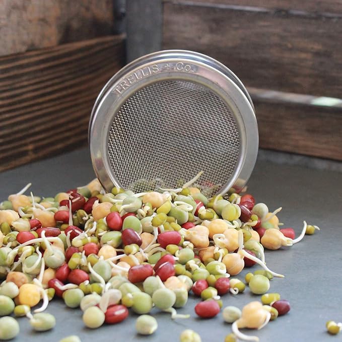 Deluxe Sprouting Jar Lid Kit With Seeds | Includes Half Gallon Jar 316 Stainless Sprouting Ring With Mesh Strainer Sprouting Stand And Handy Pantry Sprouting Seeds