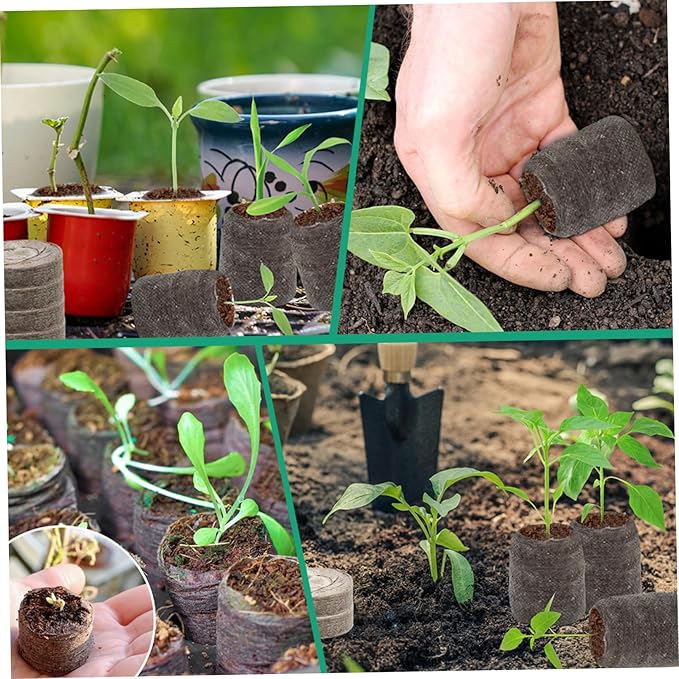 Peat Pellets for Seedlings 50PCS 2 inch Seed Starter Pods Compressed Peat Moss for Plants Breathable Seed Starter Pellets for Garden Herbs Flowers Vegetables