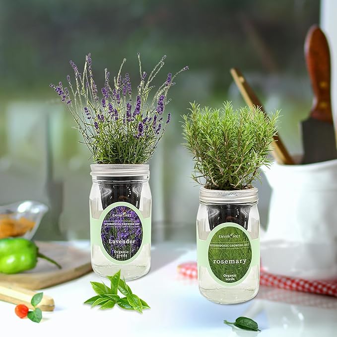 2-Pack Hydroponic Mason Jar Herb Garden Kit Indoor Herb Garden Self-Watering Starter Kit New Christmas Gift for Mom (DillLavender)