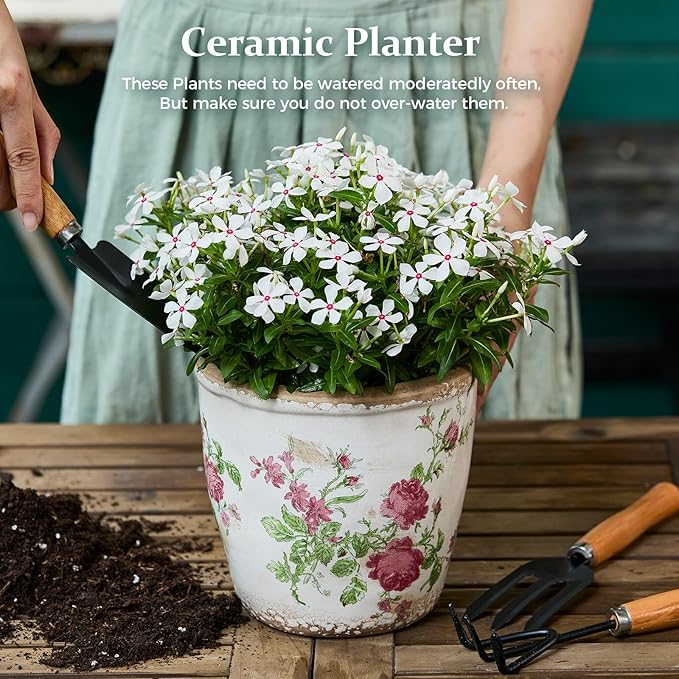 Vintage Ceramic Planter with Drainage Hole Plastic Tray &amp Mesh 6.5 Inch - Indoor/Outdoor Flower Pot Pink Floral Rustic Farmhouse Design Plant pot for Home Office &amp Garden Décor Ideal Gift