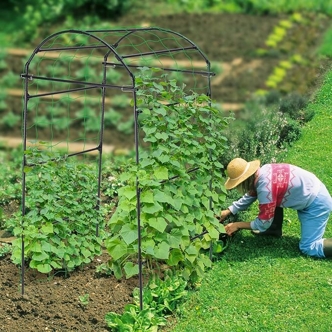 Cucumber Trellis 6.7ft Tall Garden Arch Trellis for Climbing Plants Outdoor Arbor Support Vine Vegetable Tomato Bean Pea Grape Squash Pumpkin Cucumber Raised Bed Lightweight Black