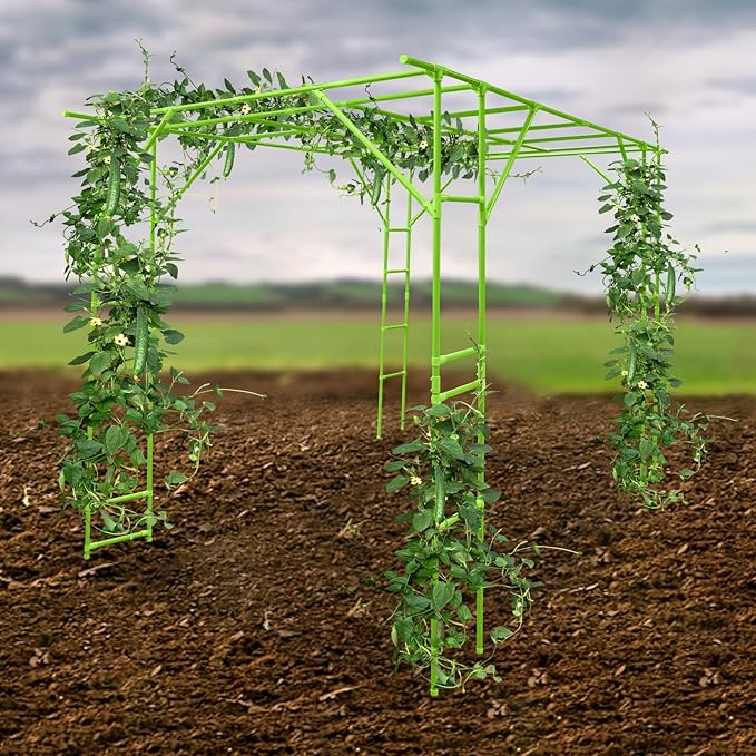 118'' L x 78.5'' W x 90.5'' H Large Outdoor Garden Arch Trellis for Climbing Plants Grape Arbor Rack Pergola Plastic-Coated Steel Cane Frame for Courtyard and Garden Decoration of Pavilions (Green)