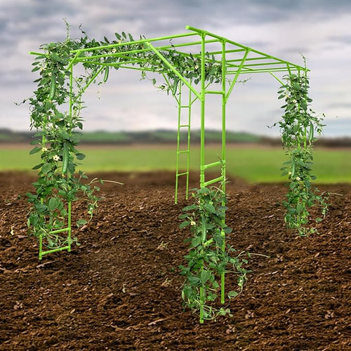 118'' L x 78.5'' W x 90.5'' H Large Outdoor Garden Arch Trellis for Climbing Plants Grape Arbor Rack Pergola Plastic-Coated Steel Cane Frame for Courtyard and Garden Decoration of Pavilions (Green)