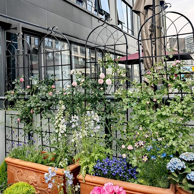 Metal Garden Trellis Rustproof Arched Fence for Climbing Plants Outdoor Flowers Vegetables Elegant Flower Trellis for Garden Decor Wall Brackets Black &amp White 71 x 19.7 (Black 4 Pack)