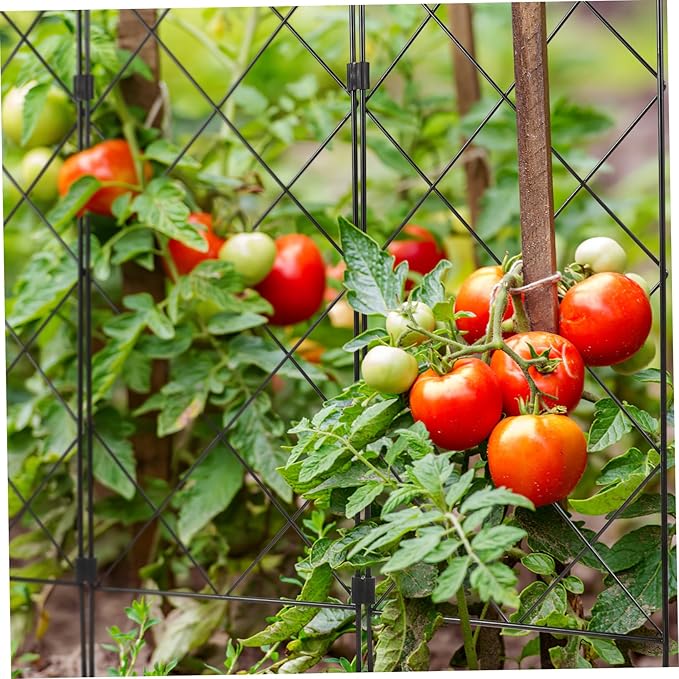 Folding Plant Support Stand Garden Trellis for Vine Plants Climbing Fruits