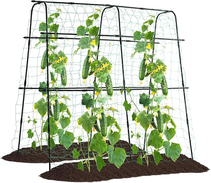 Cucumber Trellis for Raised Bed 5x5ft Metal Garden Trellis Climbing Plants Outdoor Tomato Plant Support Grape Vegetables Squash Bean Pea Cucumber Trellis with Netting Black