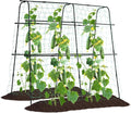 Cucumber Trellis for Raised Bed 5x5ft Metal Garden Trellis Climbing Plants Outdoor Tomato Plant Support Grape Vegetables Squash Bean Pea Cucumber Trellis with Netting Black
