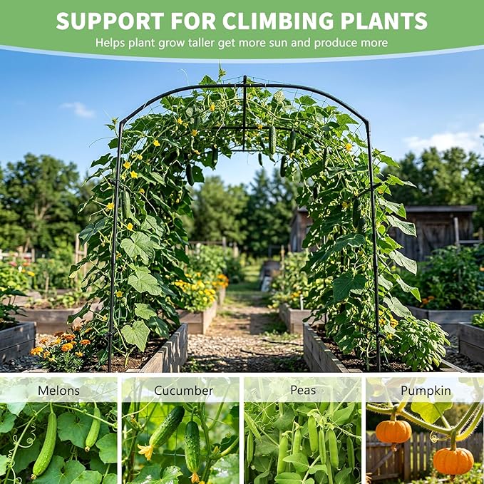 DoCred Tall Garden Arch Trellis for Climbing Plants 87in Tall Metal Plant Support Trellis Archway for Climbing Vine Vegetable/Fruit/Flower Outdoor Yard Lawn Garden Arch Tunnel Trellis