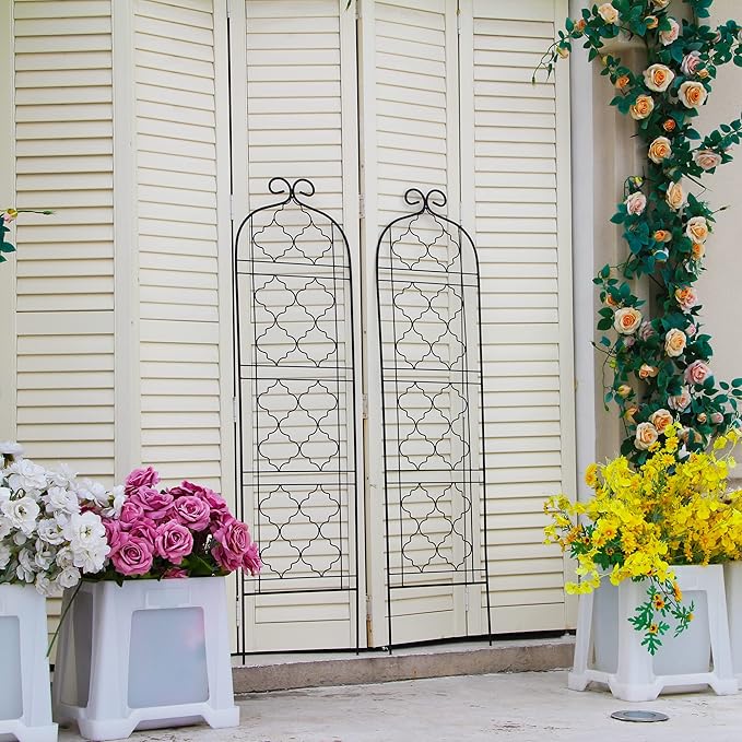 Garden Trellis for Vines and Climbing Plants Outdoor Iron Wire Lattices Grid Panels for Potted Climbing Pergola Cucumber Tomato Rose Vegetable Flower Plant Trellises (60 * 16 Inch Pack of 2 Black)